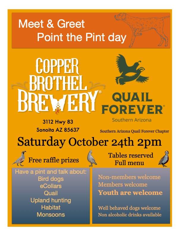 QF Copper Brothel flyer jpeg